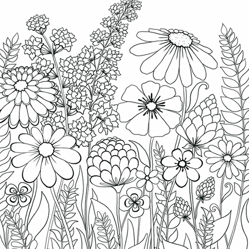 Coloring Pages - Papyrus