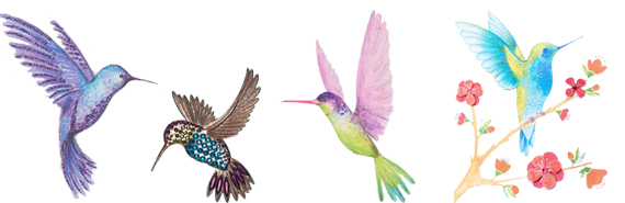 1Hummingbird Graphic2